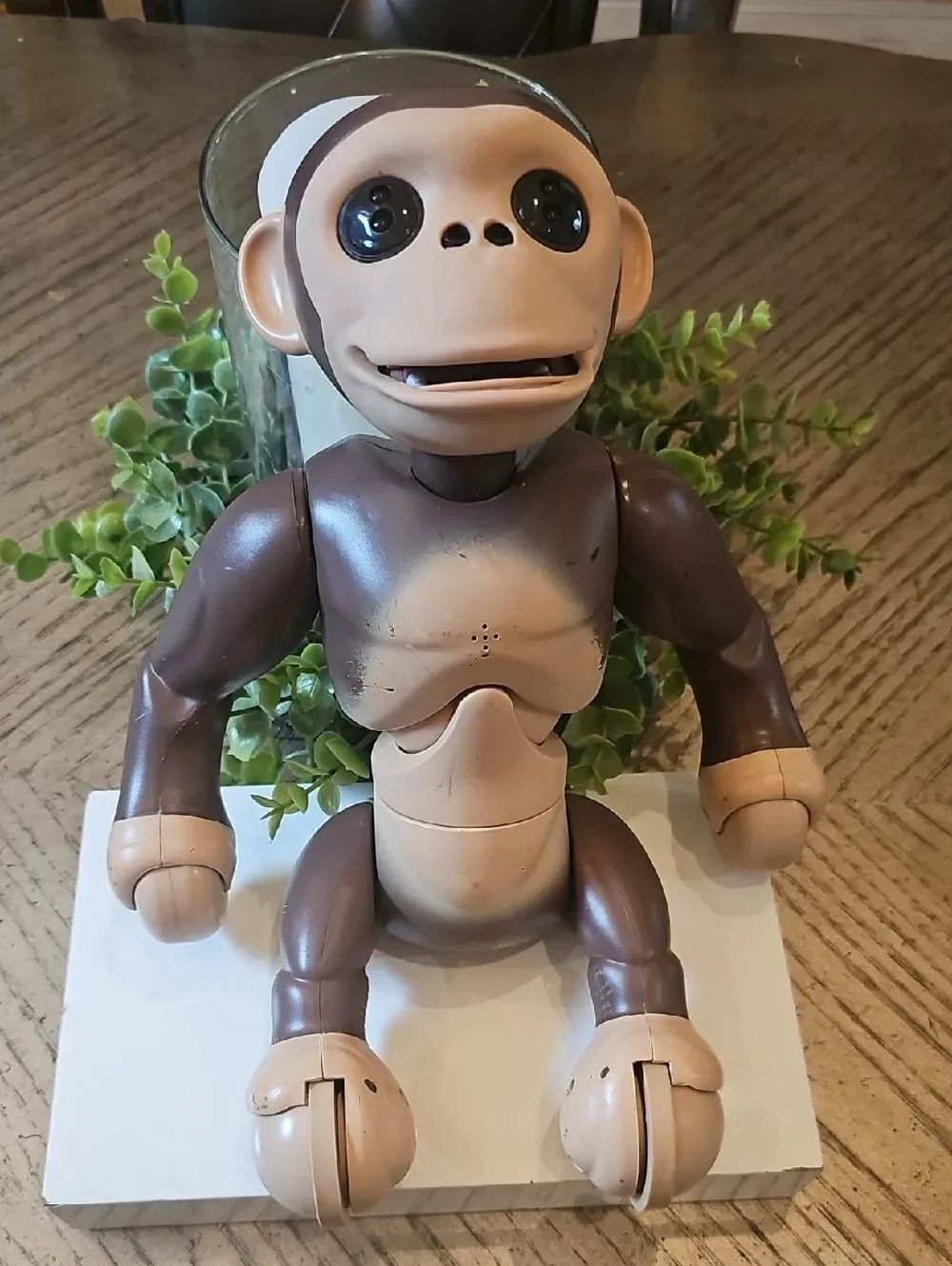 Interactive Chimp Zoomer